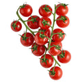 Pomidory cherry gałązka opak. 500 g. /szt.